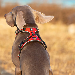 Trueline No-Pull Dog Harness detail view