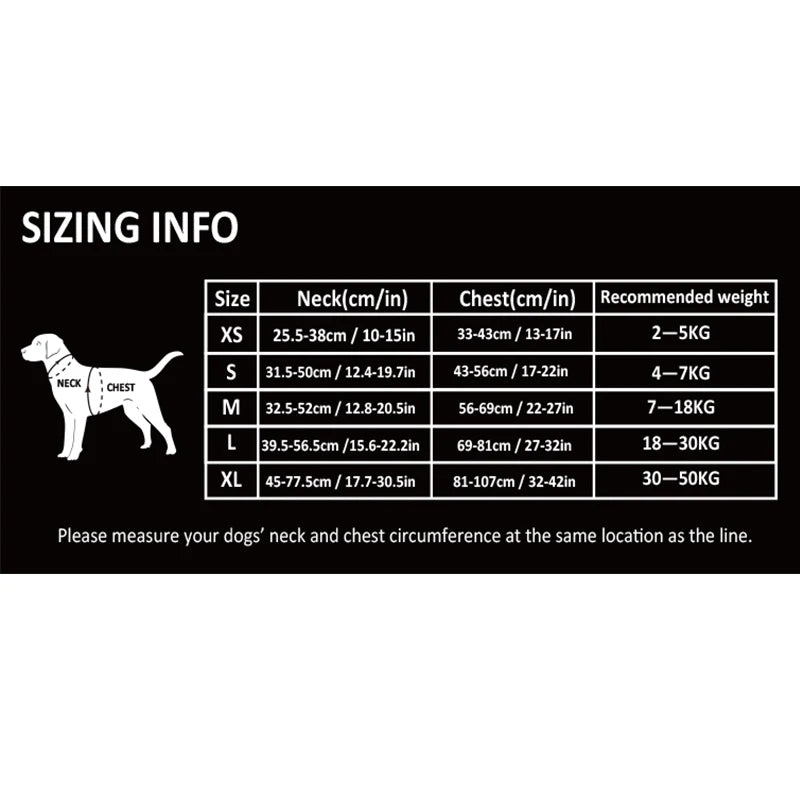 Trueline No-Pull Dog Harness worn outdoors
