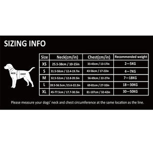 Trueline No-Pull Dog Harness worn outdoors